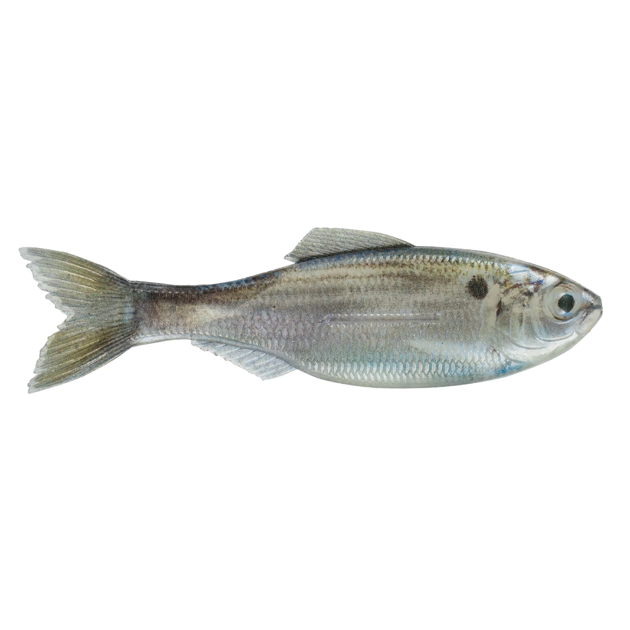 Best Selling Soft Plastics